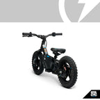 Stacyc 12eDrive