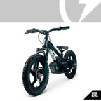 Stacyc 16eDrive Elite