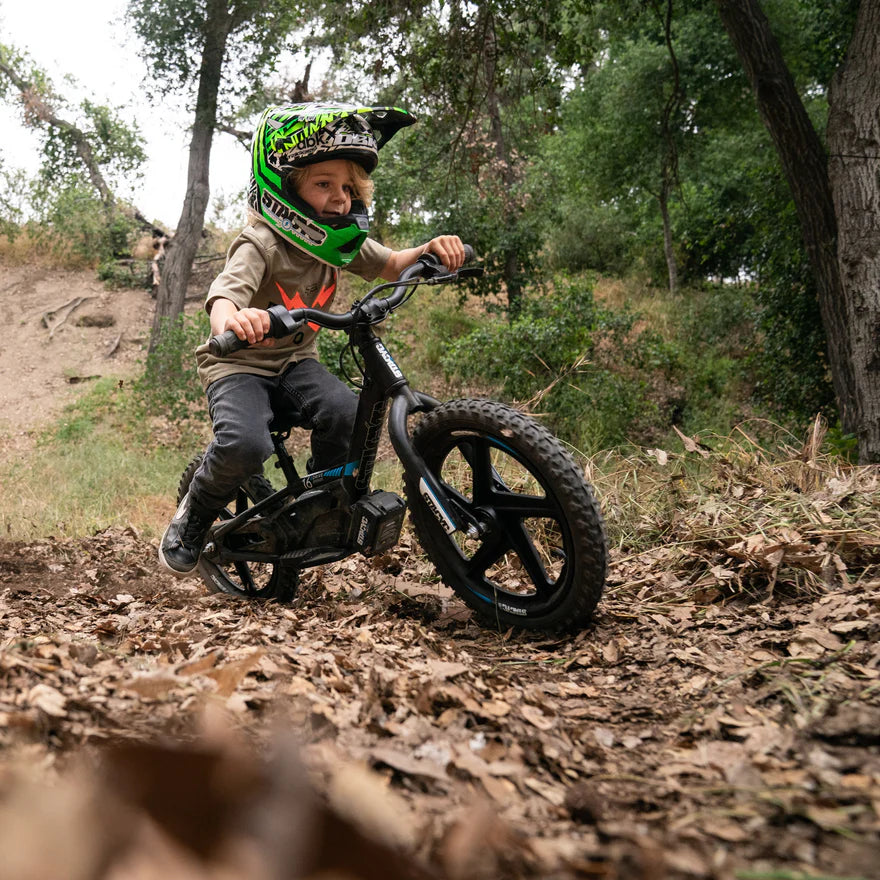 Stacyc 16eDrive Brushless
